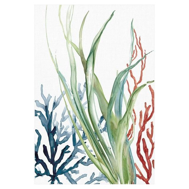 Masterpiece Art Gallery Ocean Magic II Marine Botanical by Carol Robinson Canvas Art Print