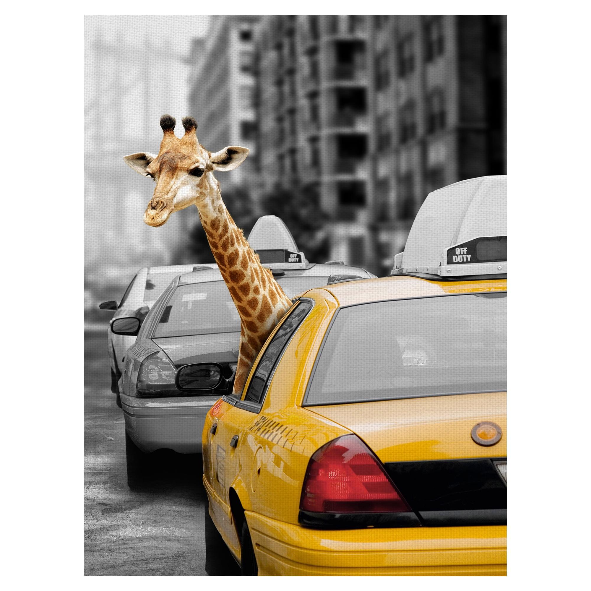 Urban Jungle Giraffe in Yellow Taxicab Canvas Print 30" x 40"