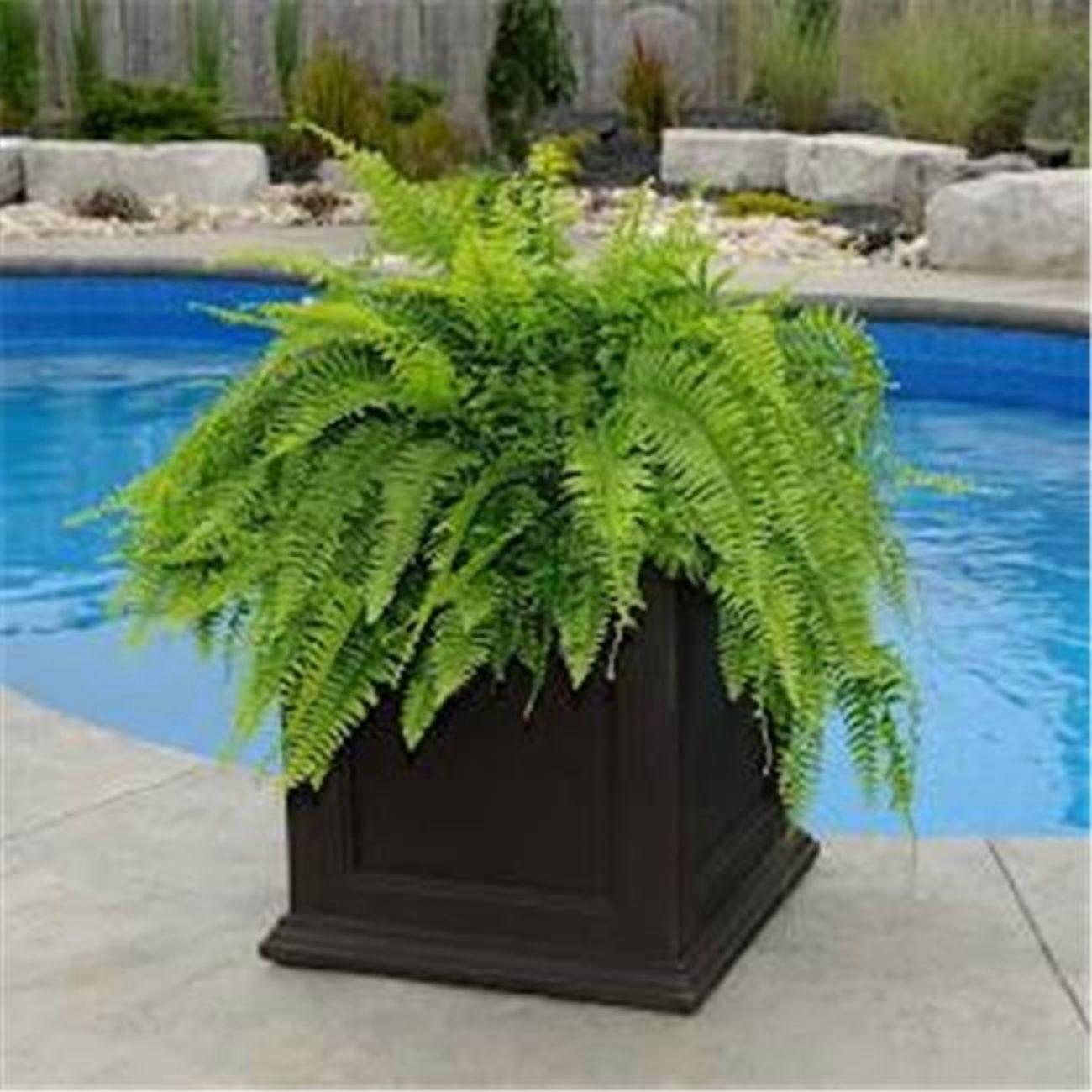 Mayne Fairfield 20" x 20" x 20" Square Espresso Self Watering Plastic Planter