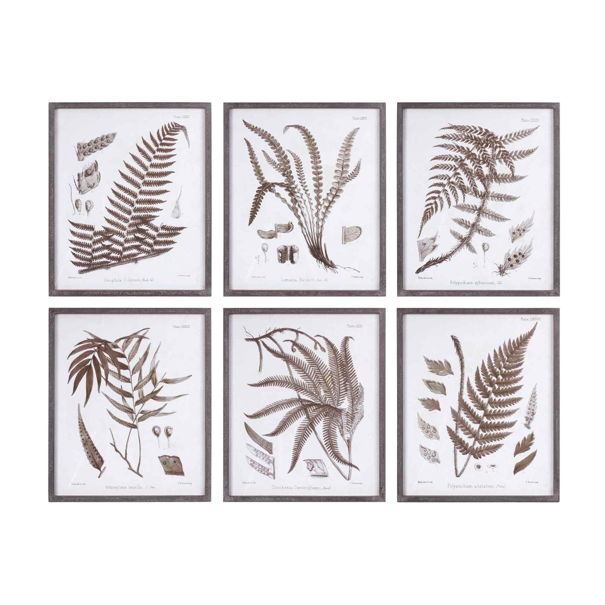 " Fern " 6 - Pieces (Set of 6)