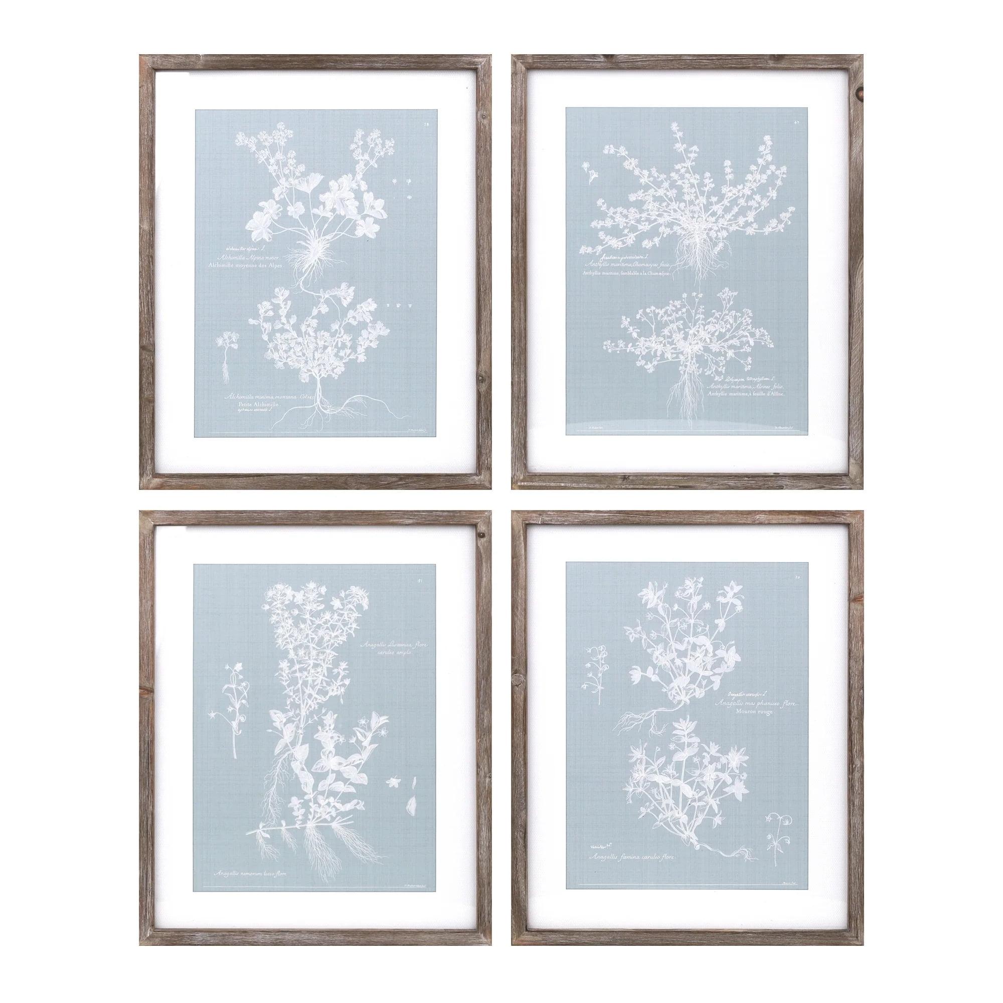 Set of 4 Blue and White Framed Floral Prints