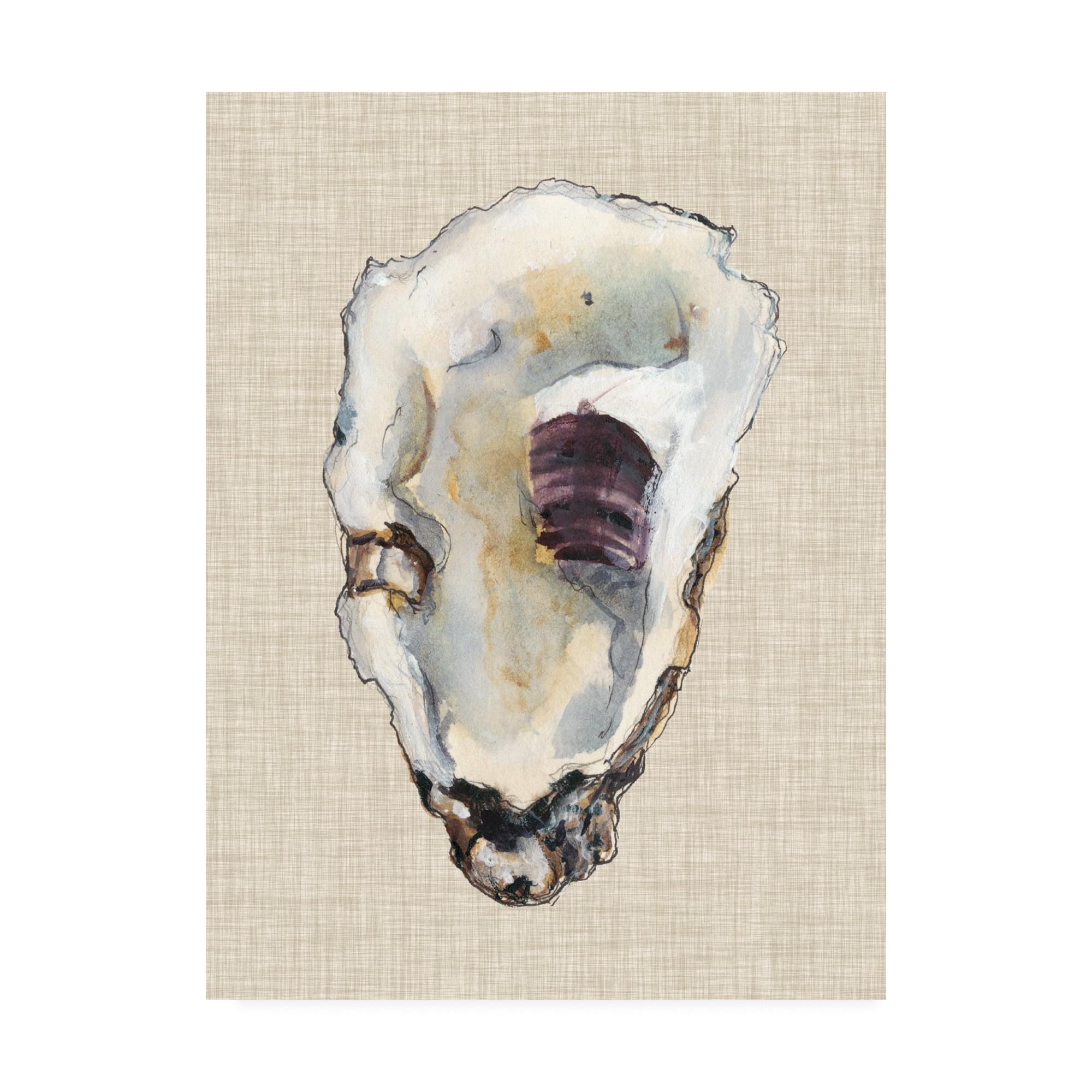 Trademark Fine Art -Michael Willett 'Oyster Shell Study Iii' Canvas Art