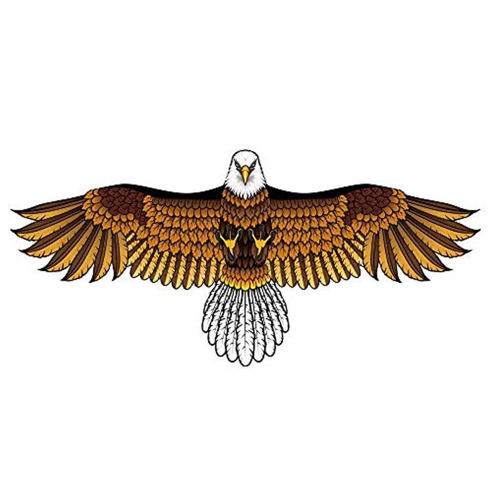 Mint s Colorful Life Eagle Kite for Kids Adults with 60 Wingspan