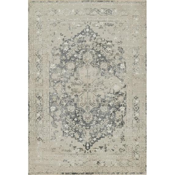 Cambridge Viscose Traditional Indoor Area Rug, Charcoal, 7'10" X 10'10",CAMBRCMB-1CHR7AAA