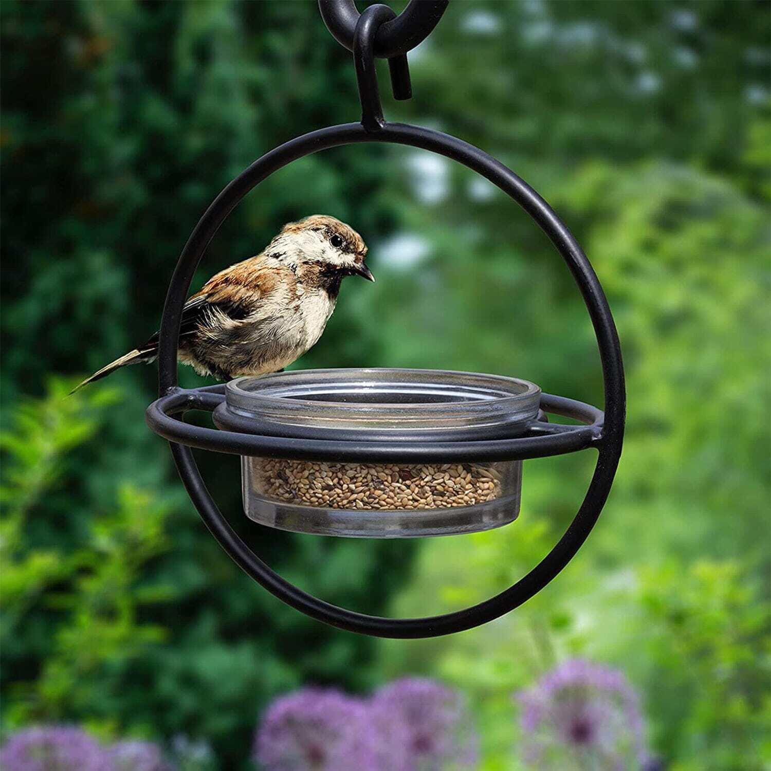 Monarch Abode Hanging Zazu Bird Feeder with Clear Glass Bowl, Perch, Outdoor Decor for Garden Backyard Patio