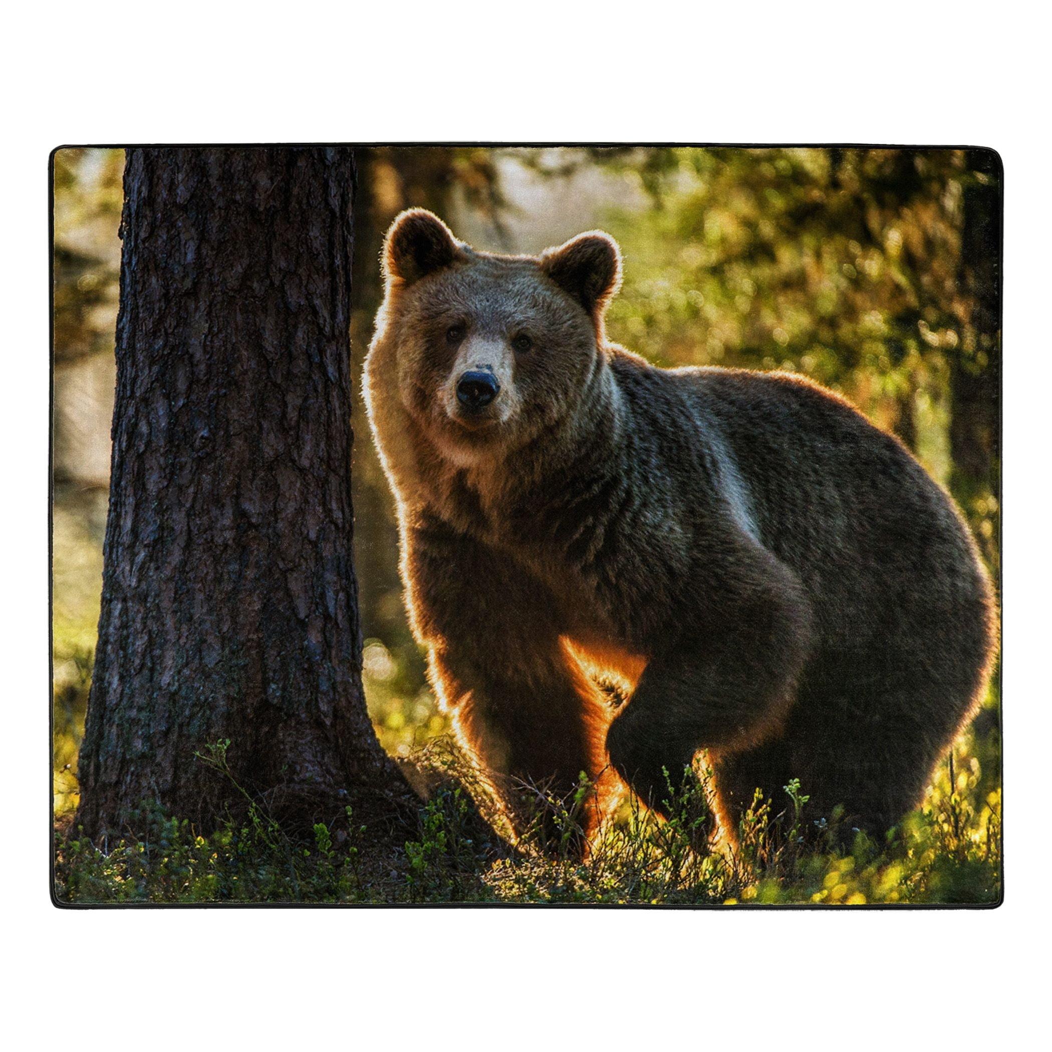 Morning Stroll Brown Raschel Throw Blanket, 50" x 60"