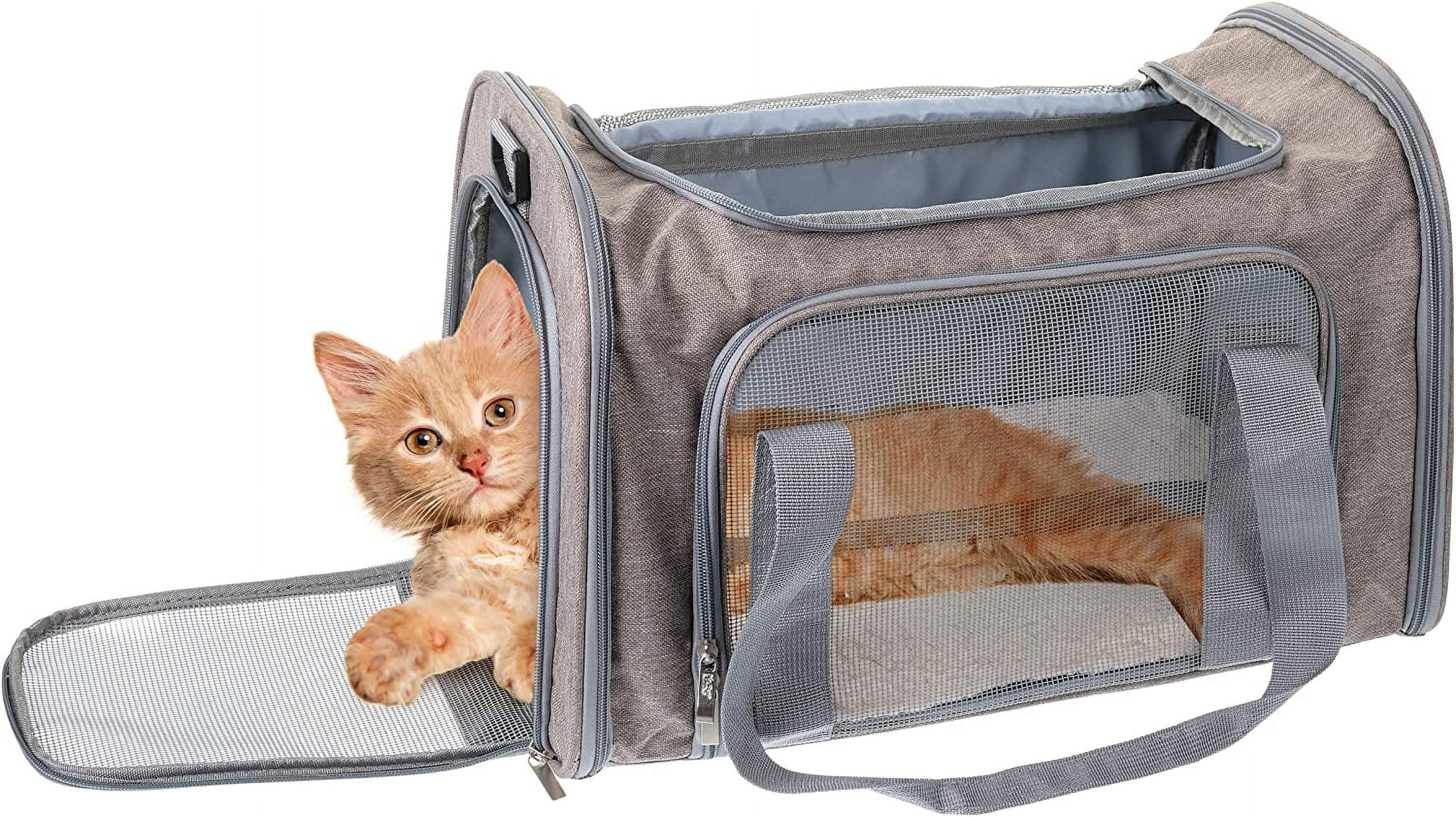 Gray Soft-Sided Pet Carrier with Mesh Windows