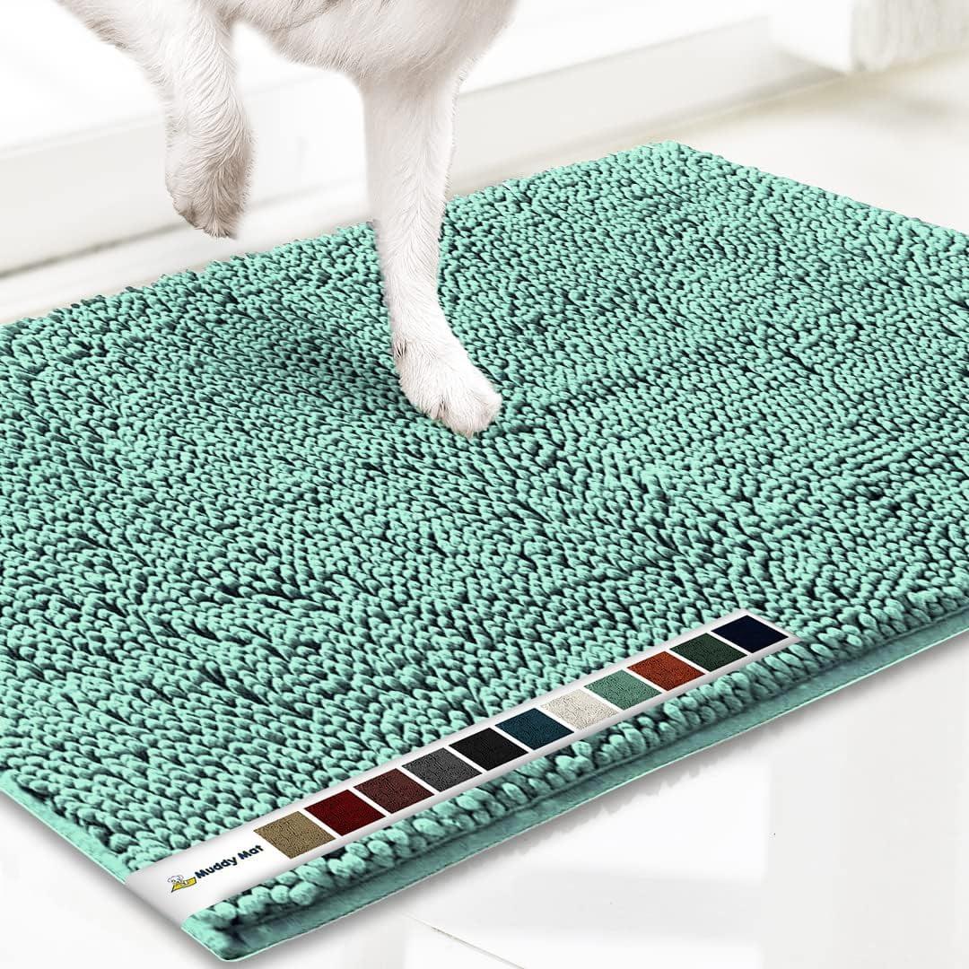 Muddy Mat Highly Absorbent Soft Chenille Door Mat and Pet Rug Non Slip Thick Washable Mat for Indoor and Outdoor-Seafoam Green Medium 19"x30"