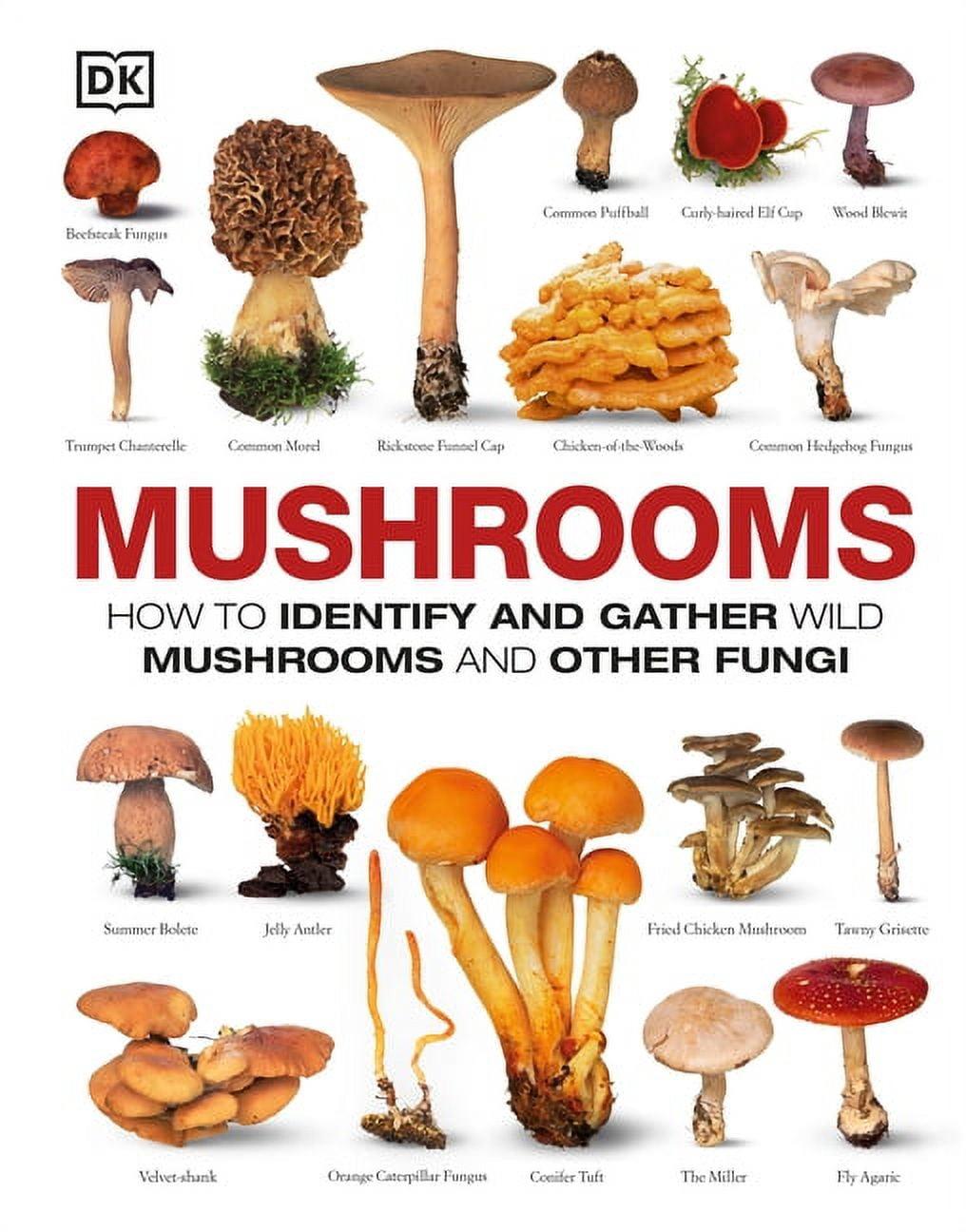 Mushrooms: How to Identify and Gather Wild Mushrooms and Other Fungi (Hardcover)