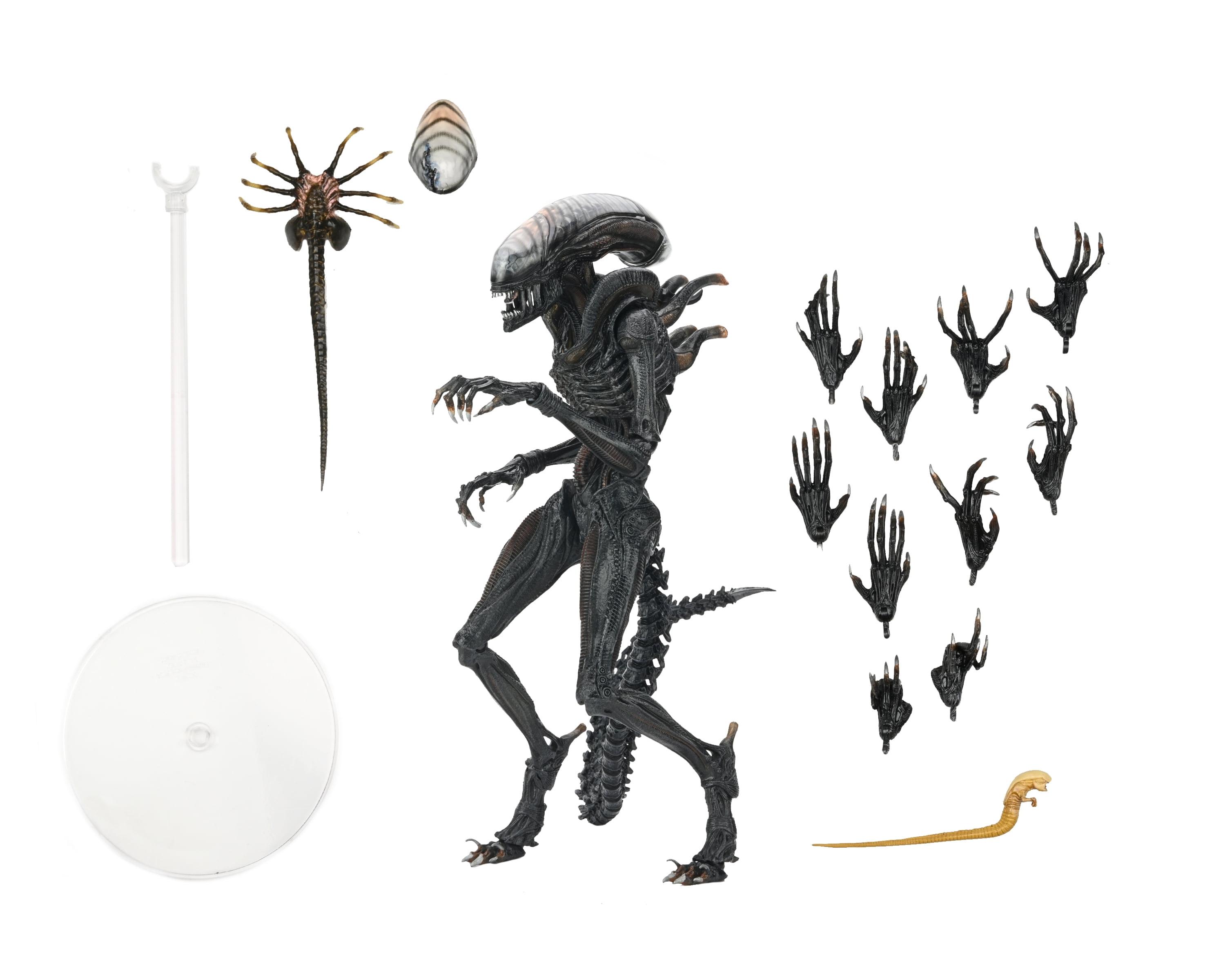 NECA Alien: Romulus Scorched Xenomorph Ultimate Action Figure with Interchangeable Hands and Facehugger (7")