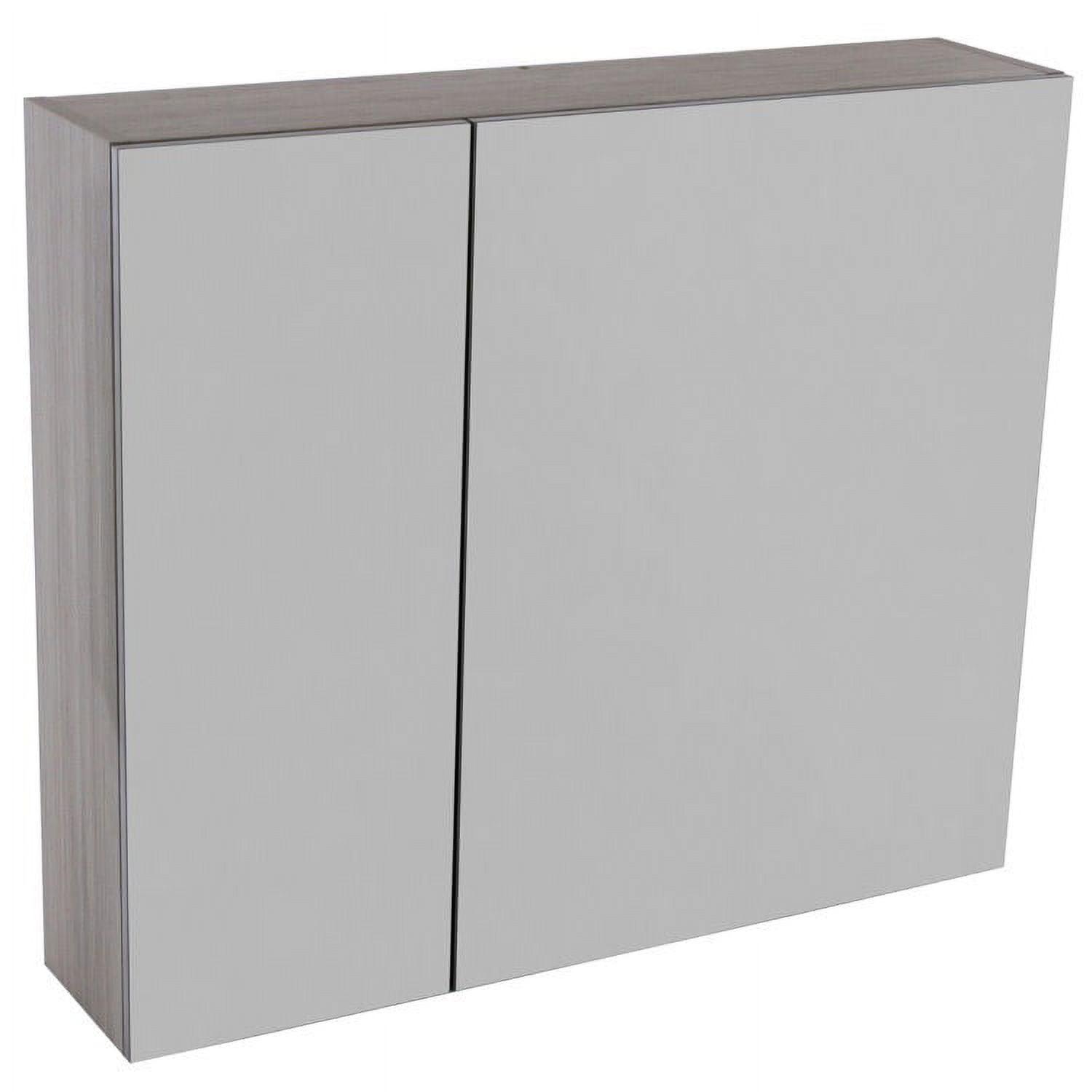 Larch Canapa Frameless Lighted 2-Door Medicine Cabinet