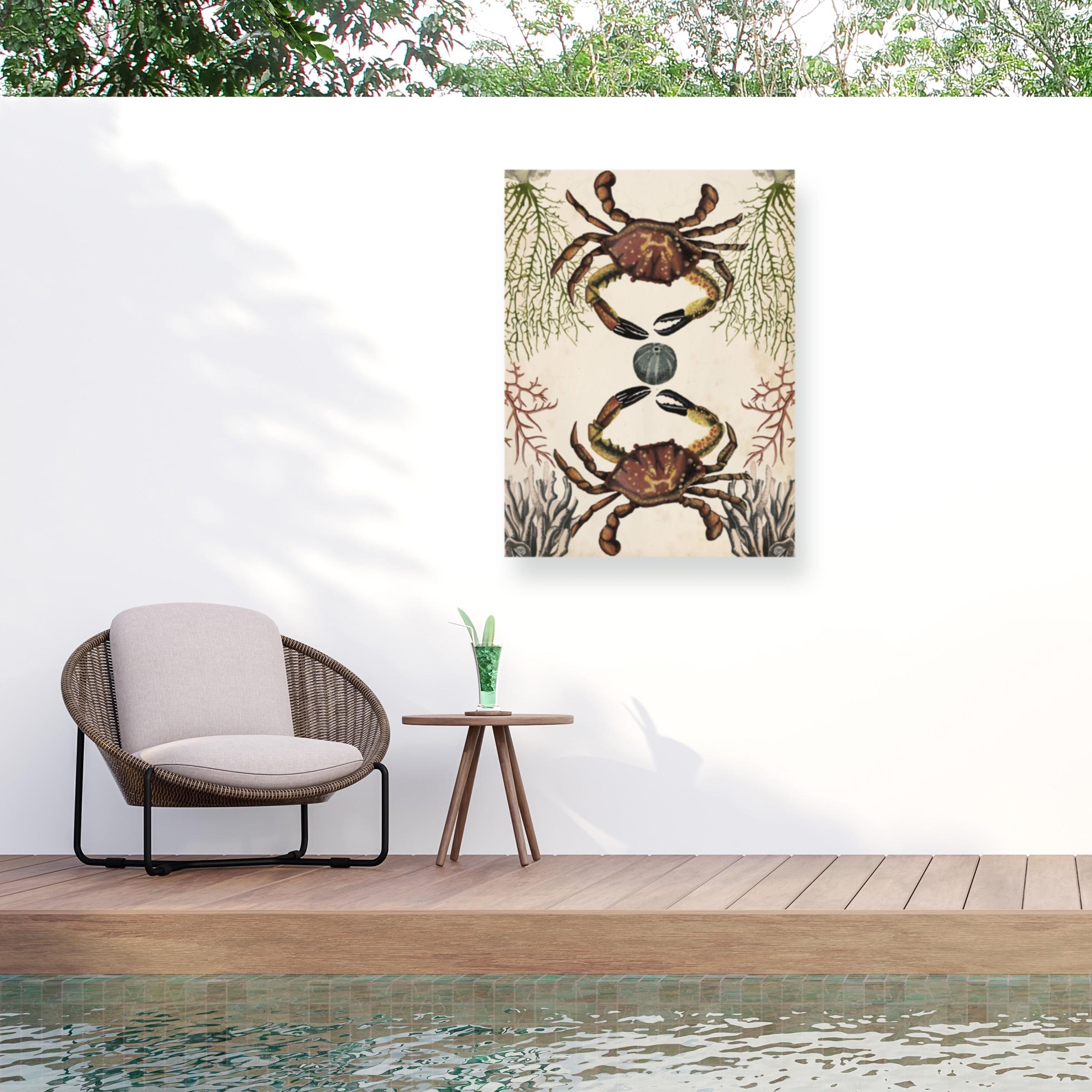 Trademark Fine Art - Naomi Mccavitt 'Antiquarian Menagerie Crab' Outdoor Canvas - 24x32