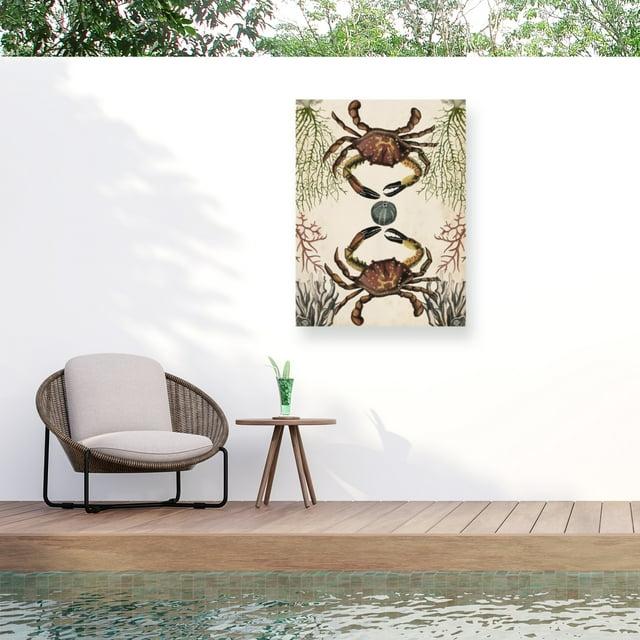 Trademark Fine Art - Naomi Mccavitt 'Antiquarian Menagerie Crab' Outdoor Canvas - 24x32