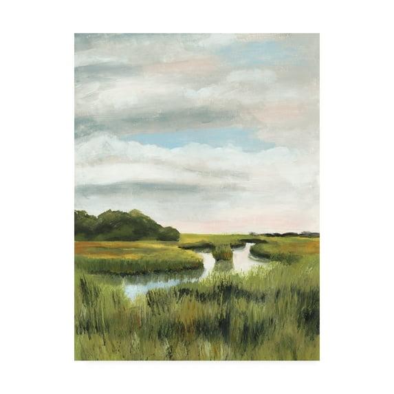 Naomi Mccavitt 'Marsh Landscapes I' Canvas Art-18x24