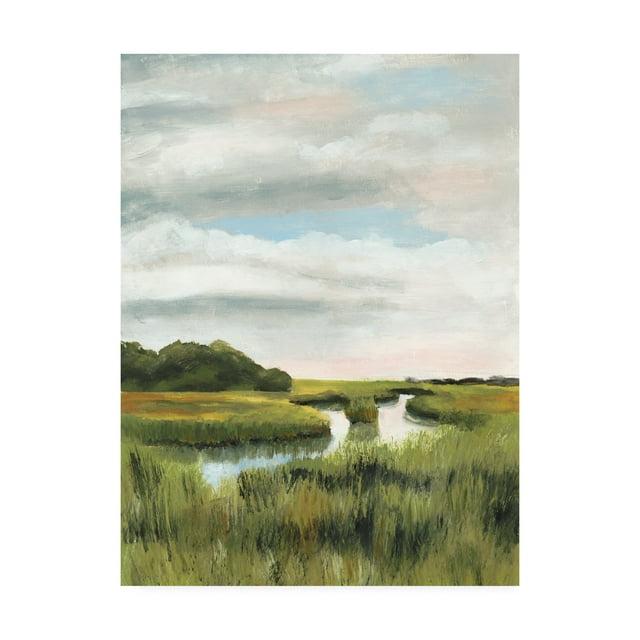 Naomi Mccavitt 'Marsh Landscapes I' Canvas Art-18x24