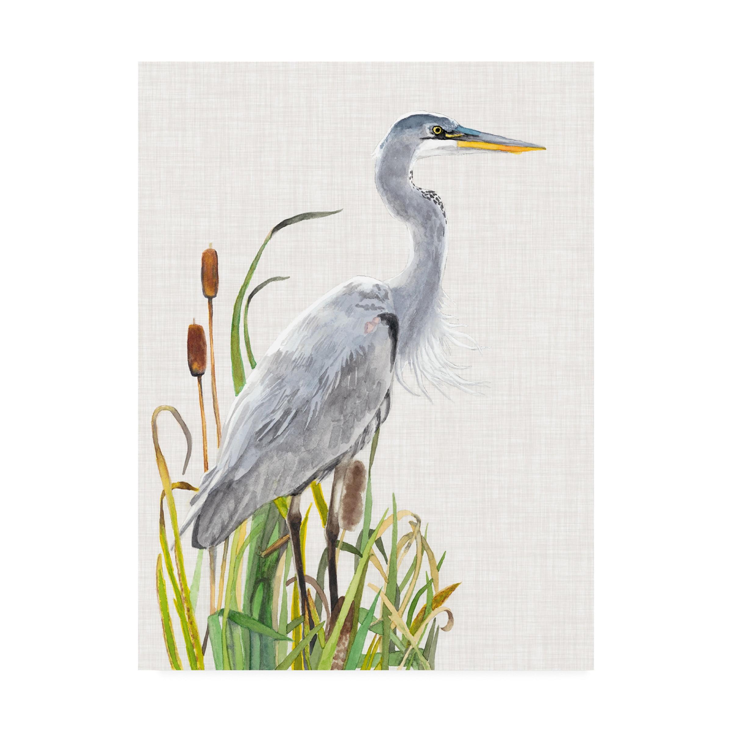 Trademark Fine Art -Naomi Mccavitt 'Water Birds And Cattails I' Canvas Art