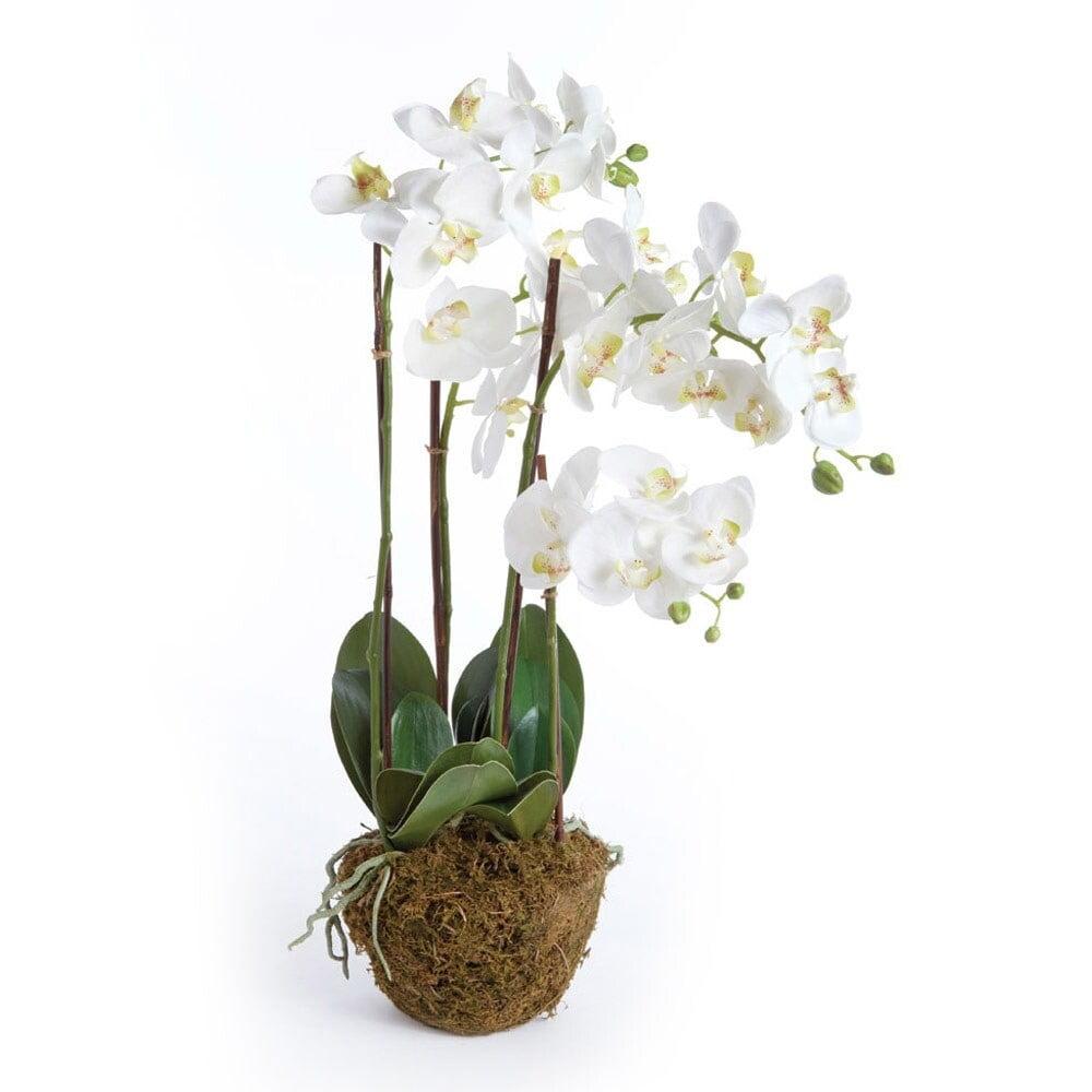 30" White Handcrafted Phalaenopsis Orchid in Decorative Pot