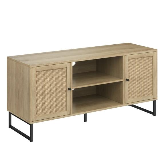 Mina TV Stand for TVs up to 55"