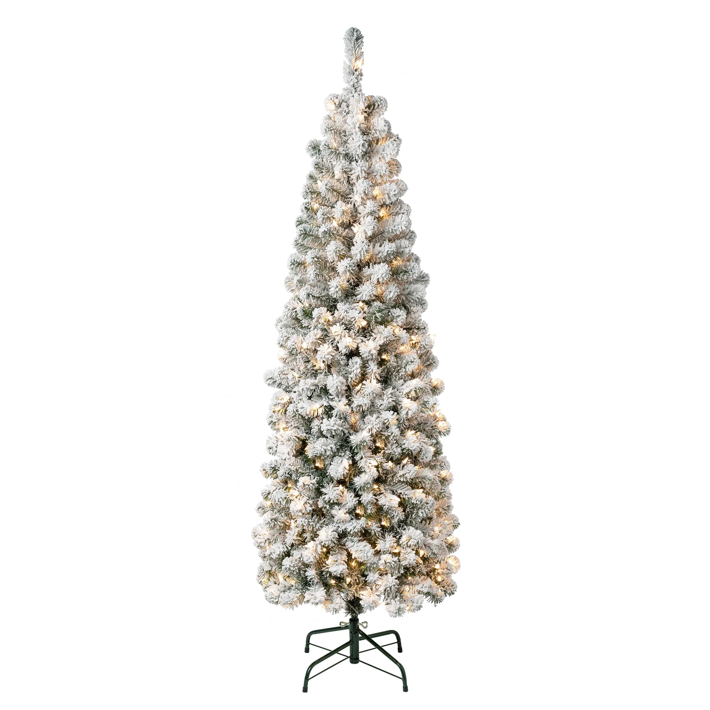 6' Prelit Pencil Slim Flocked Hinged Acacia Artificial Christmas Tree Clear Lights - National Tree Company