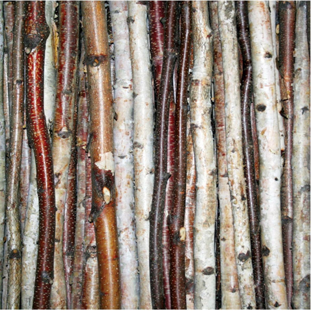 Natural White Birch Decorative Sticks 48" Set of 3