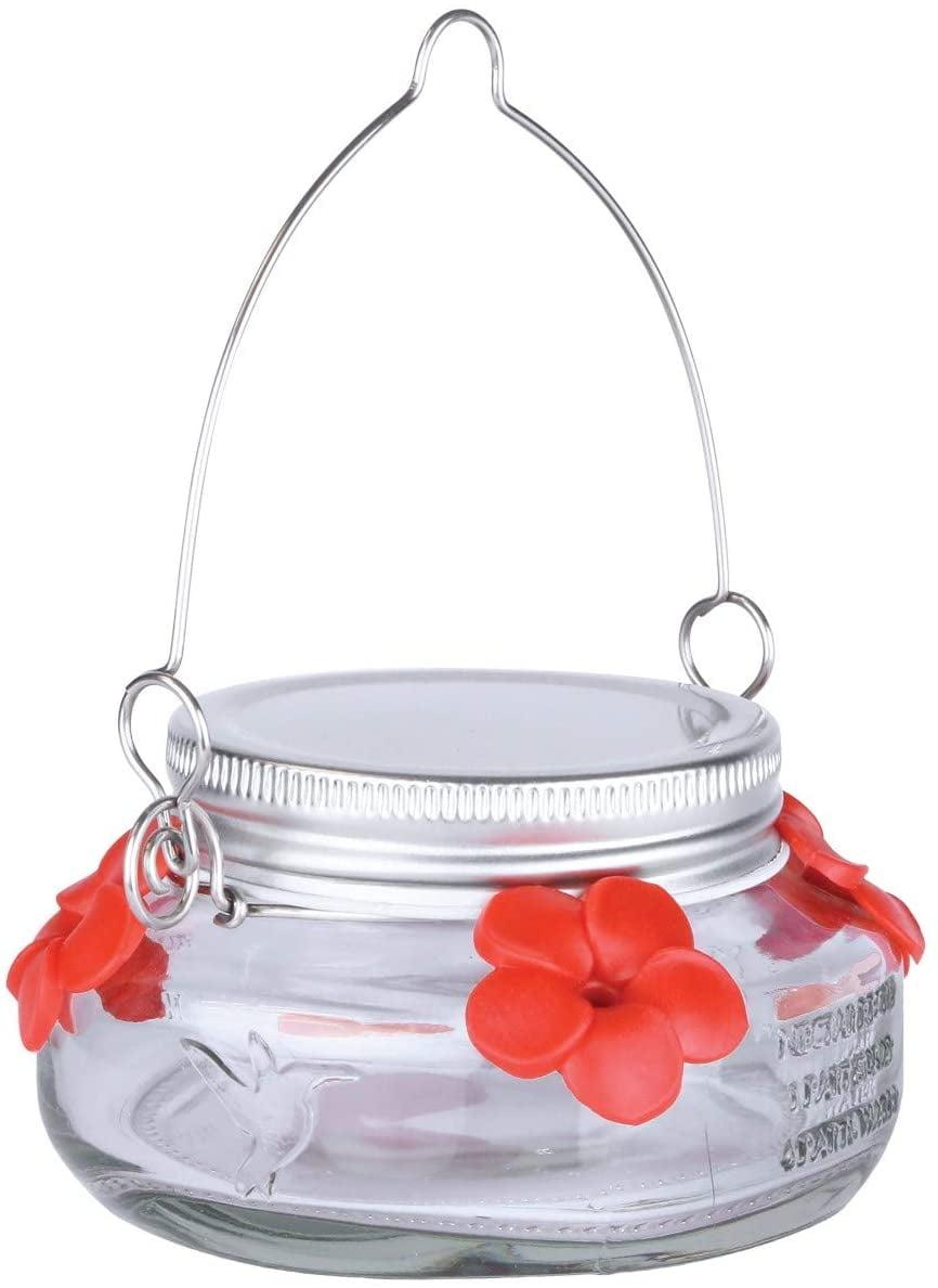 Clear Glass and Metal Hanging Hummingbird Feeder