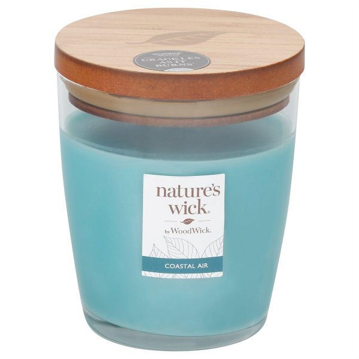 Nature's Wick Coastal Air Blue Scented Jar Candle