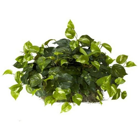 Primrue Pothos Ledge Plant (Set on Foam) Silk Plant