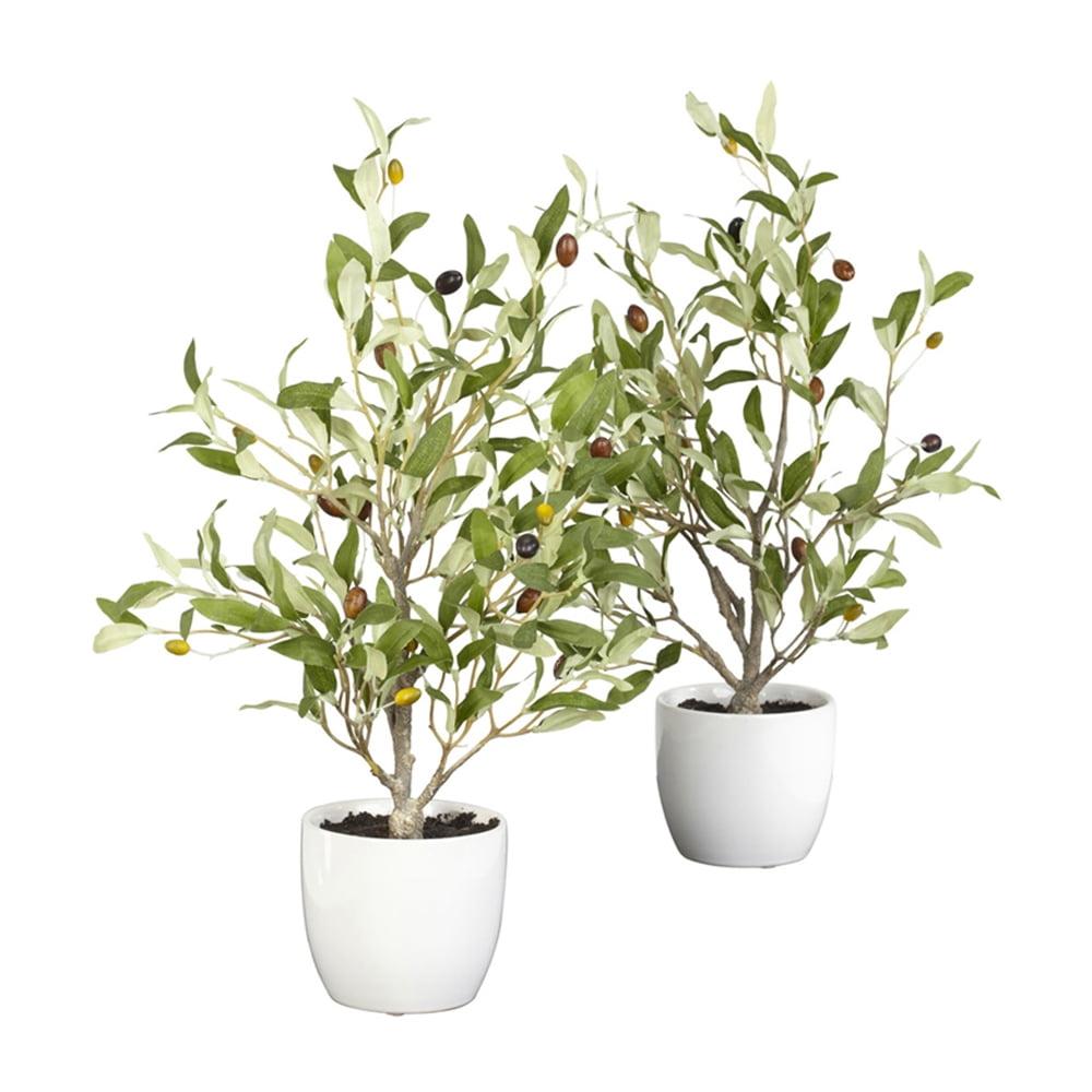 Mediterranean Elegance 21" Silk Olive Tree Tabletop Centerpiece