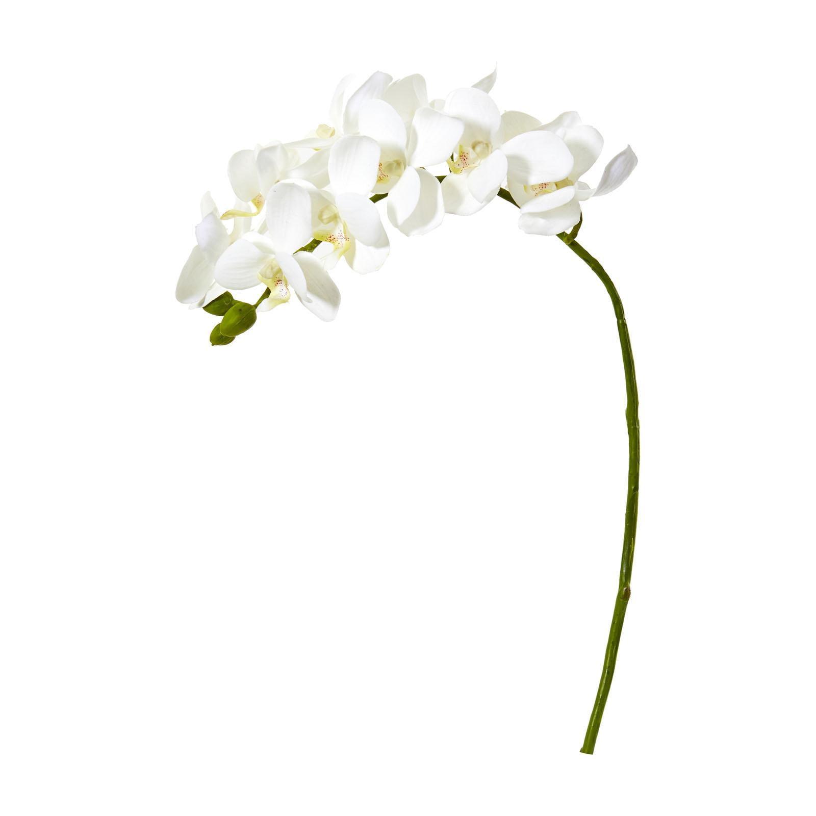 21'' White Silk Phalaenopsis Orchid Artificial Flower Set