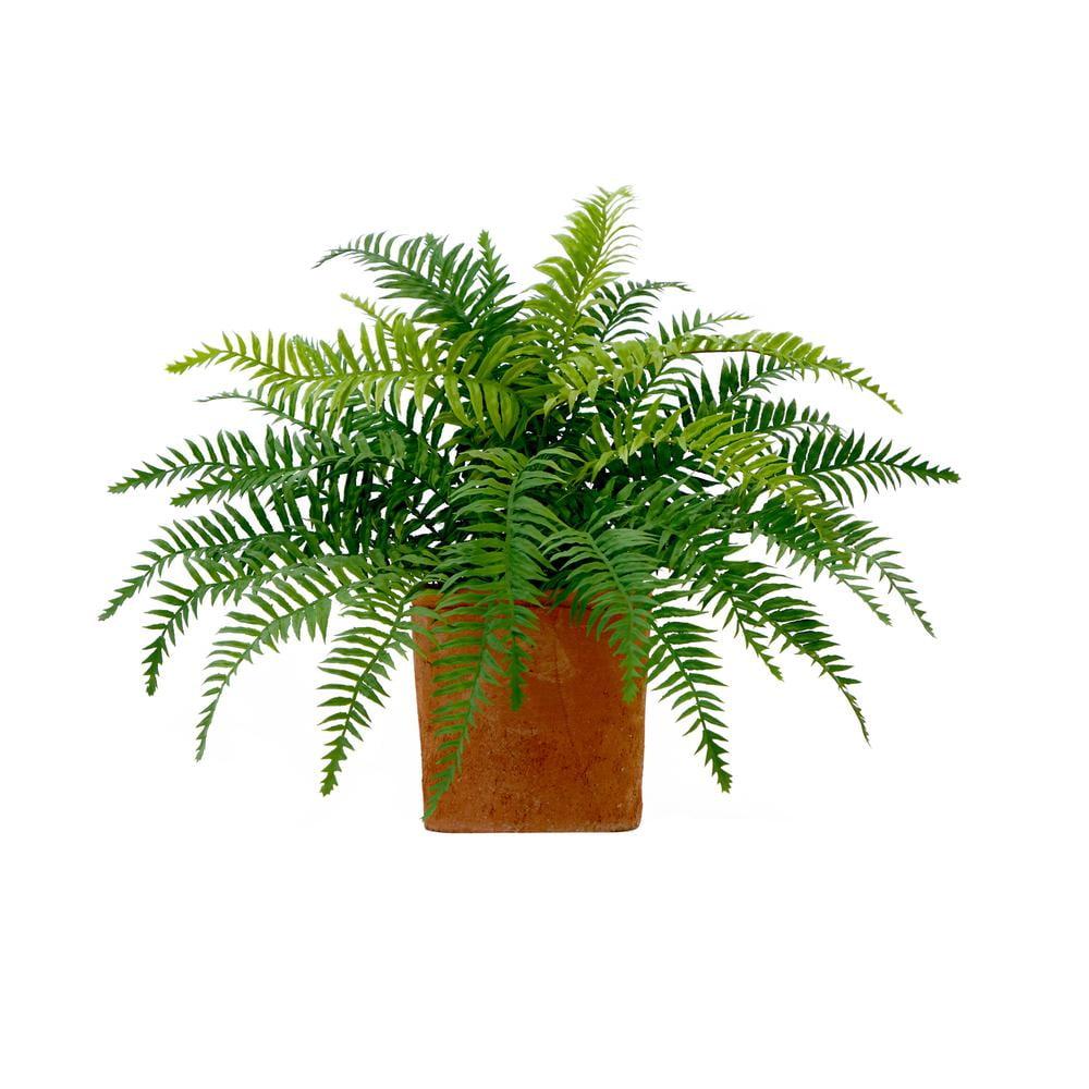 Yancey 12'' Faux Fern Plant in Terracotta Planter