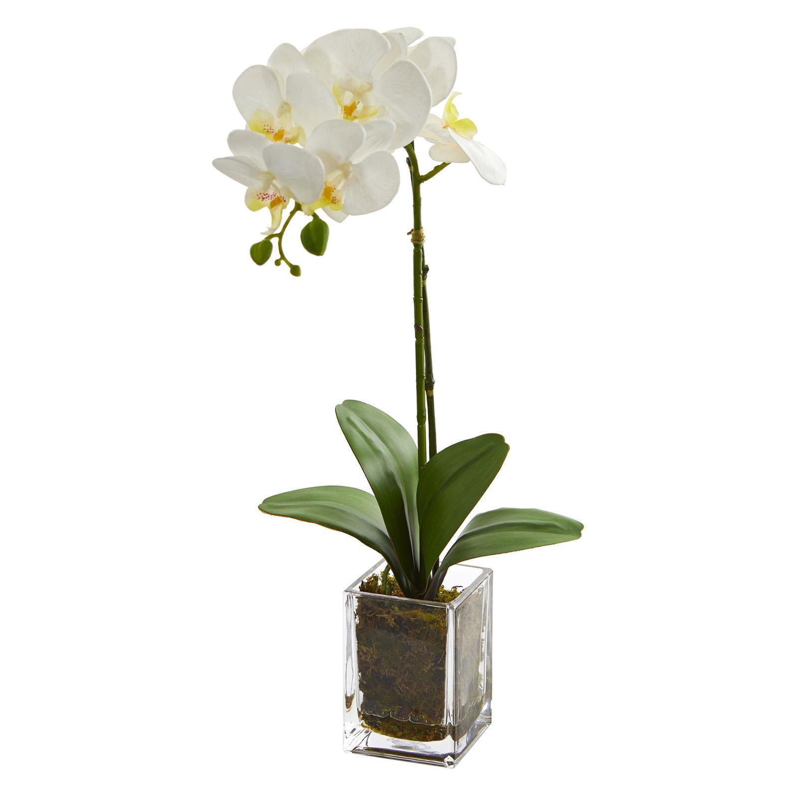 Elegant White Orchid Phalaenopsis 24" Artificial Arrangement in Glass Vase