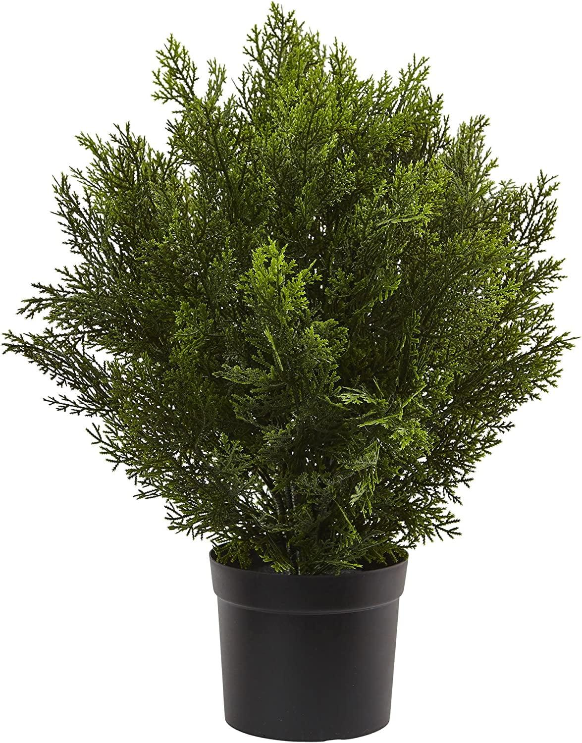 2-Foot Faux Cedar Bush in Black Plastic Pot