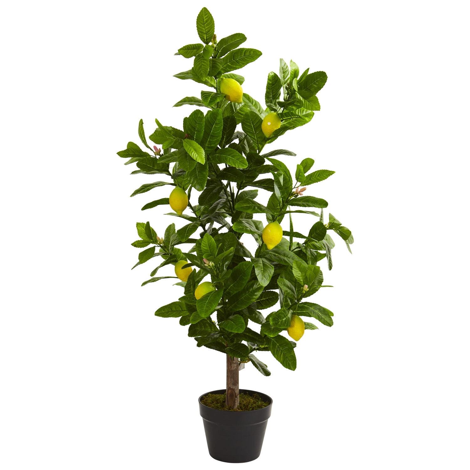 Nearly Natural 3-ft Lemon Artificial Tree