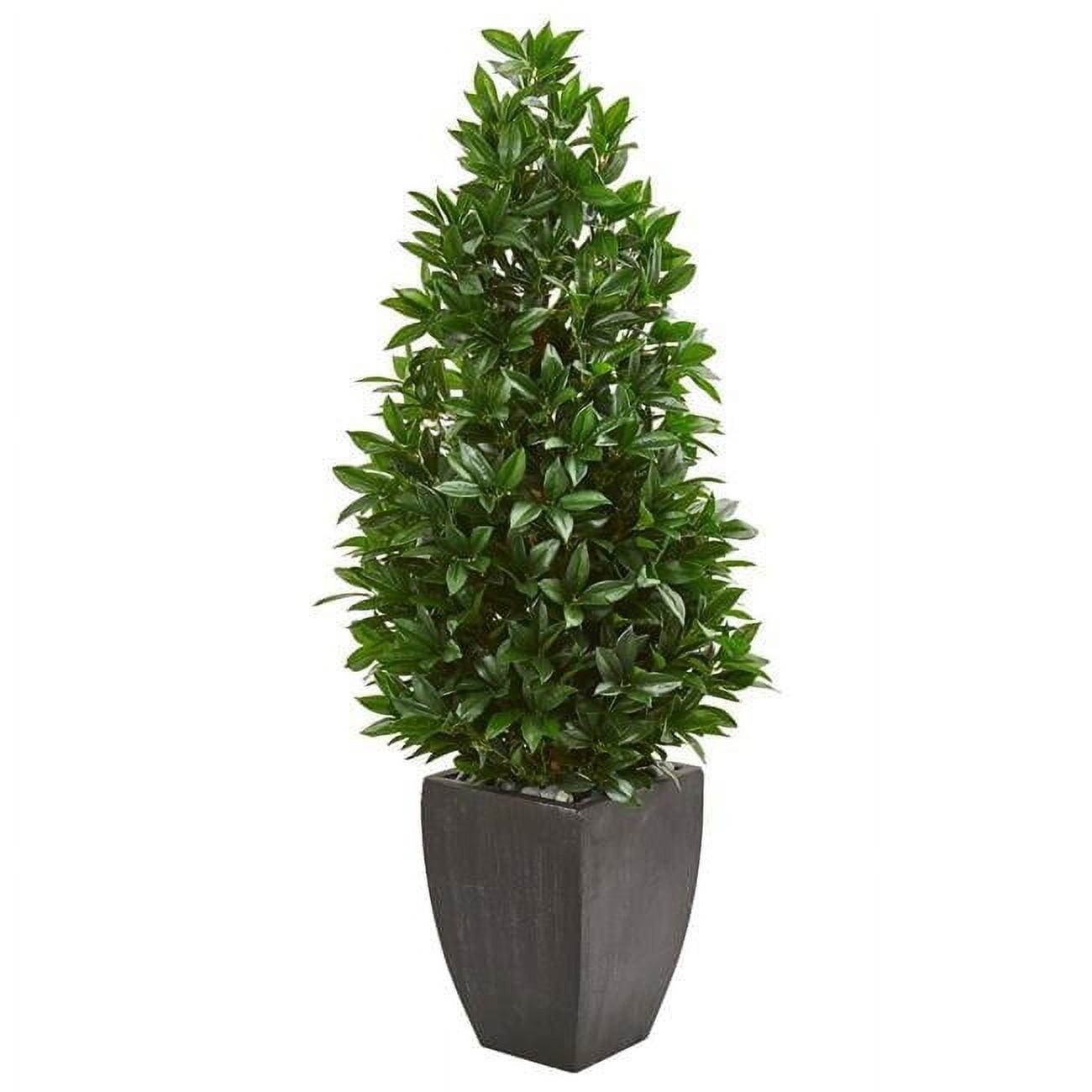 56-Inch Green Bay Leaf Cone Topiary in Black Planter