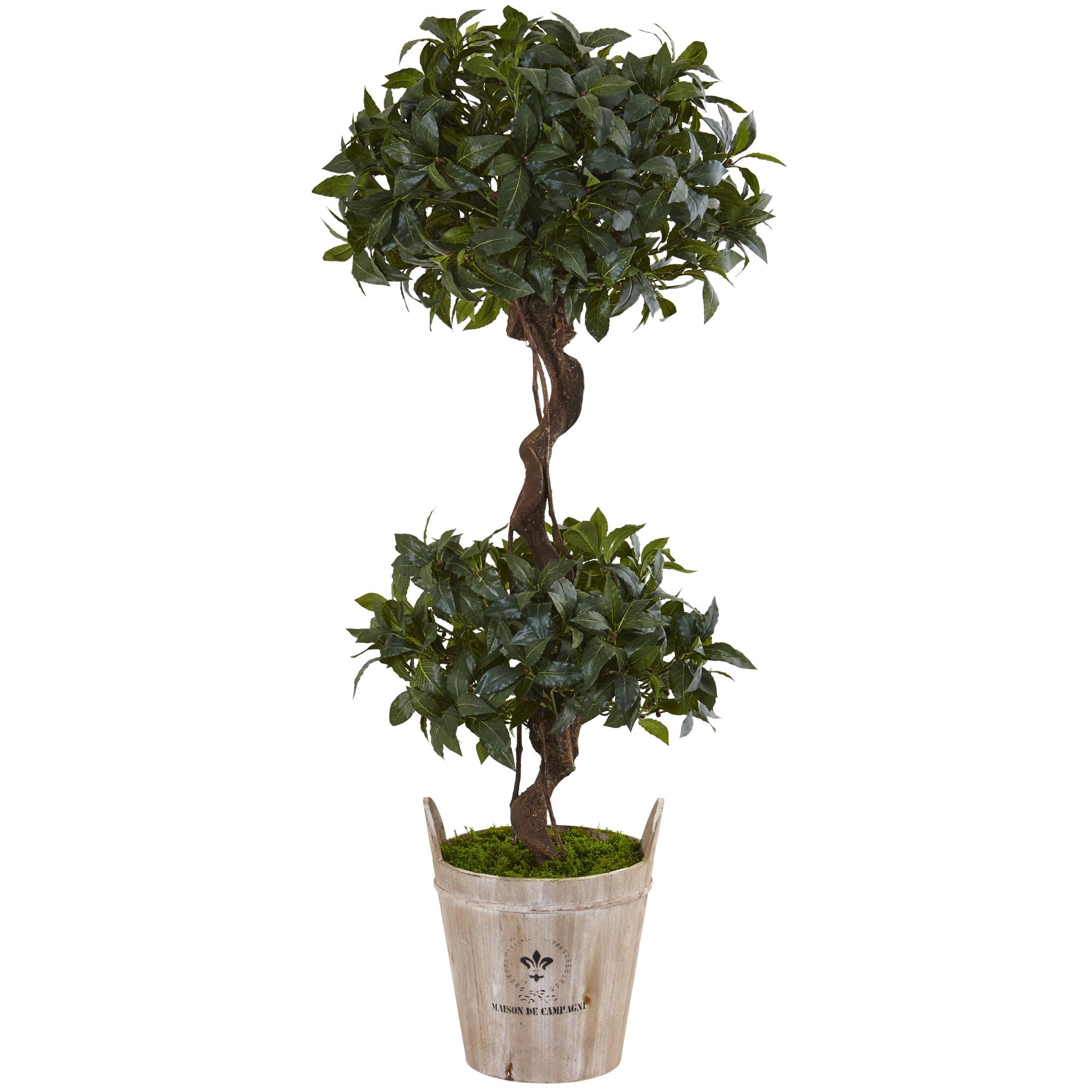 4.5' Sweet Bay Silk Double Topiary in Rustic Farmhouse Planter