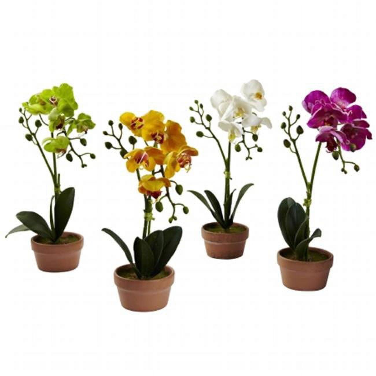 Set of 4 Multicolor Faux Orchid Plants in Clay Pots