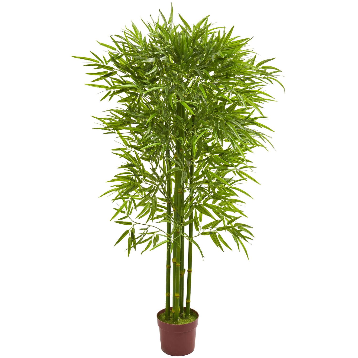 Eternal Summer 5.5' UV-Resistant Outdoor Bamboo Tree in Pot