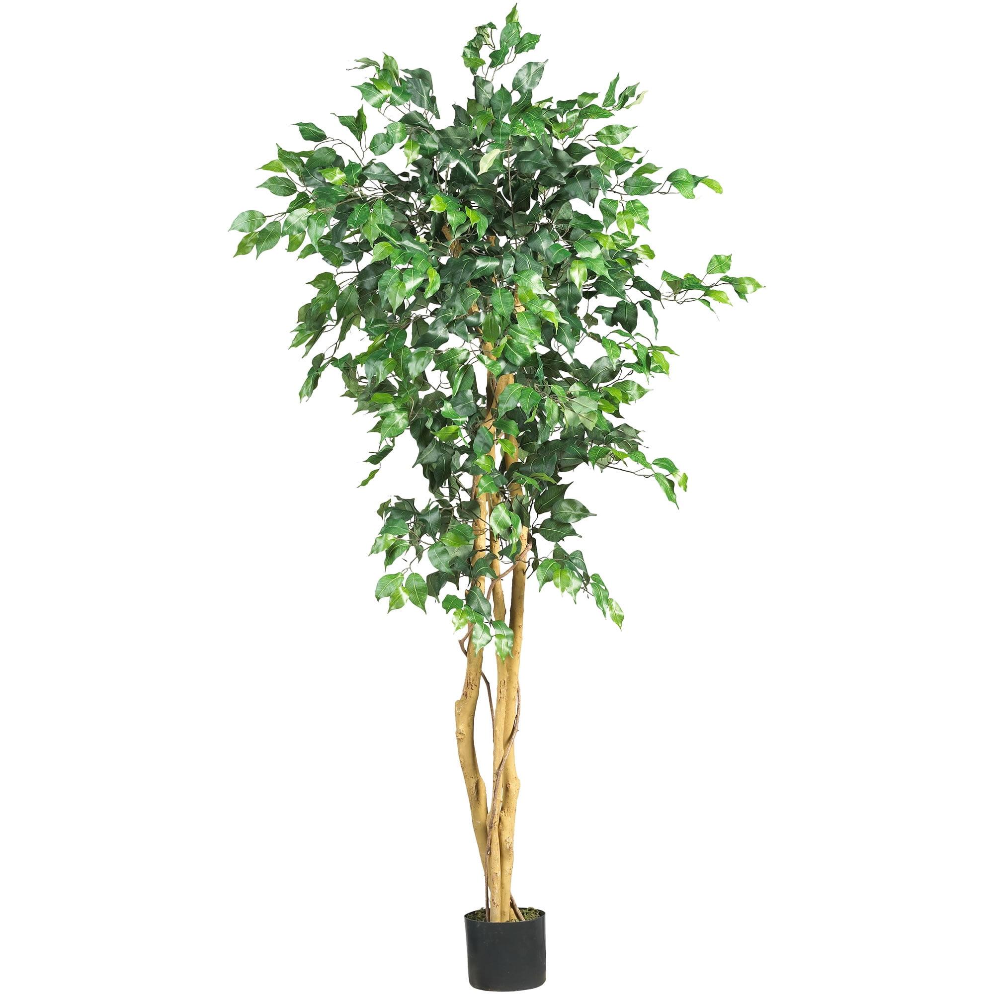 63" Silk Green Potted Outdoor Ficus Floor Plant