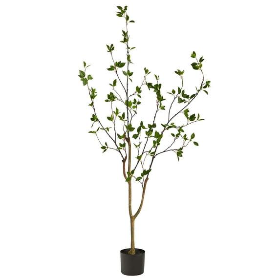 Faux Minimalist Citrus Tree 5'