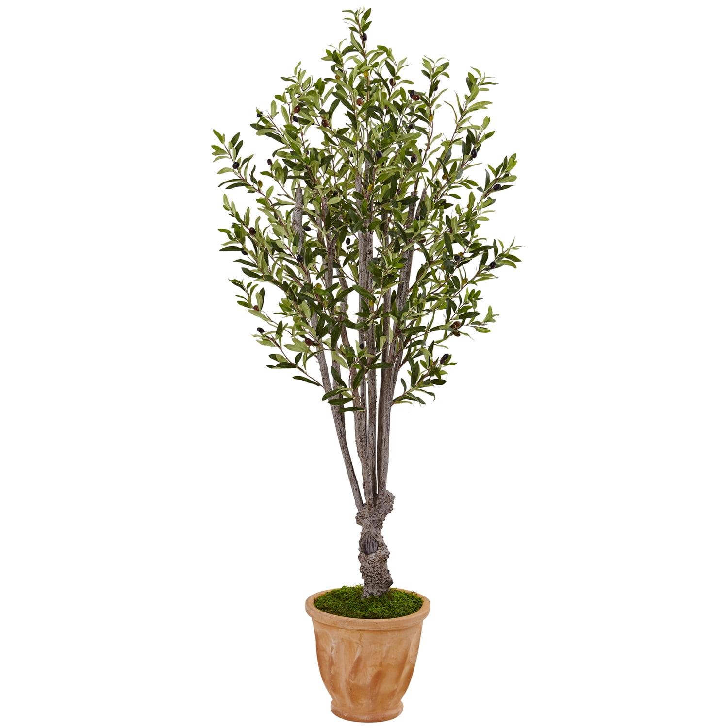 5-Foot Faux Olive Tree in Terracotta Planter with Green Moss