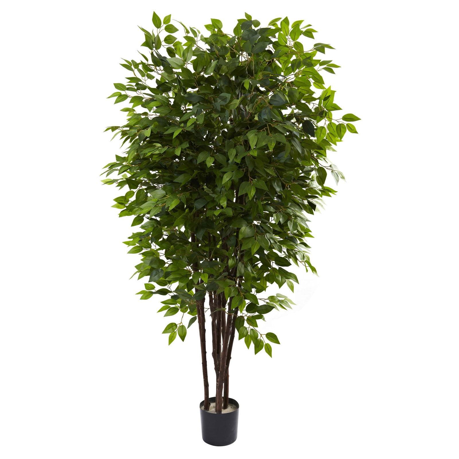 6.5' Green Silk Ficus Tree in Black Pot