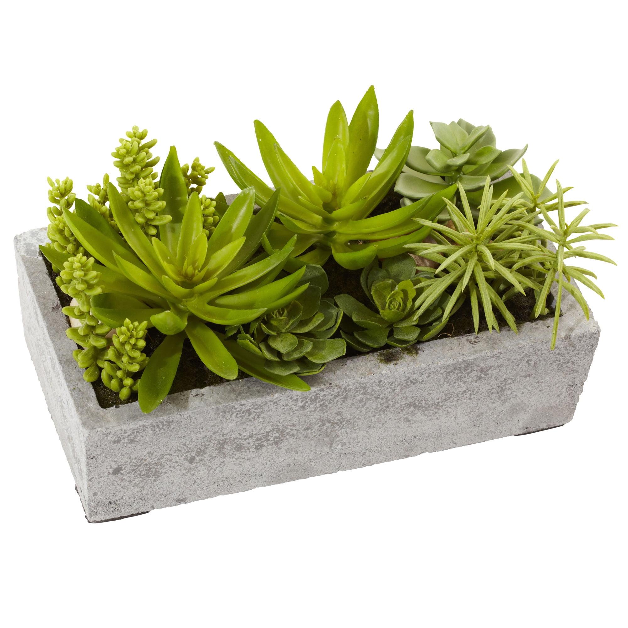 Nearly Natural 6.5" Succulent Garden Artificial Plant with Concrete Planter, Green