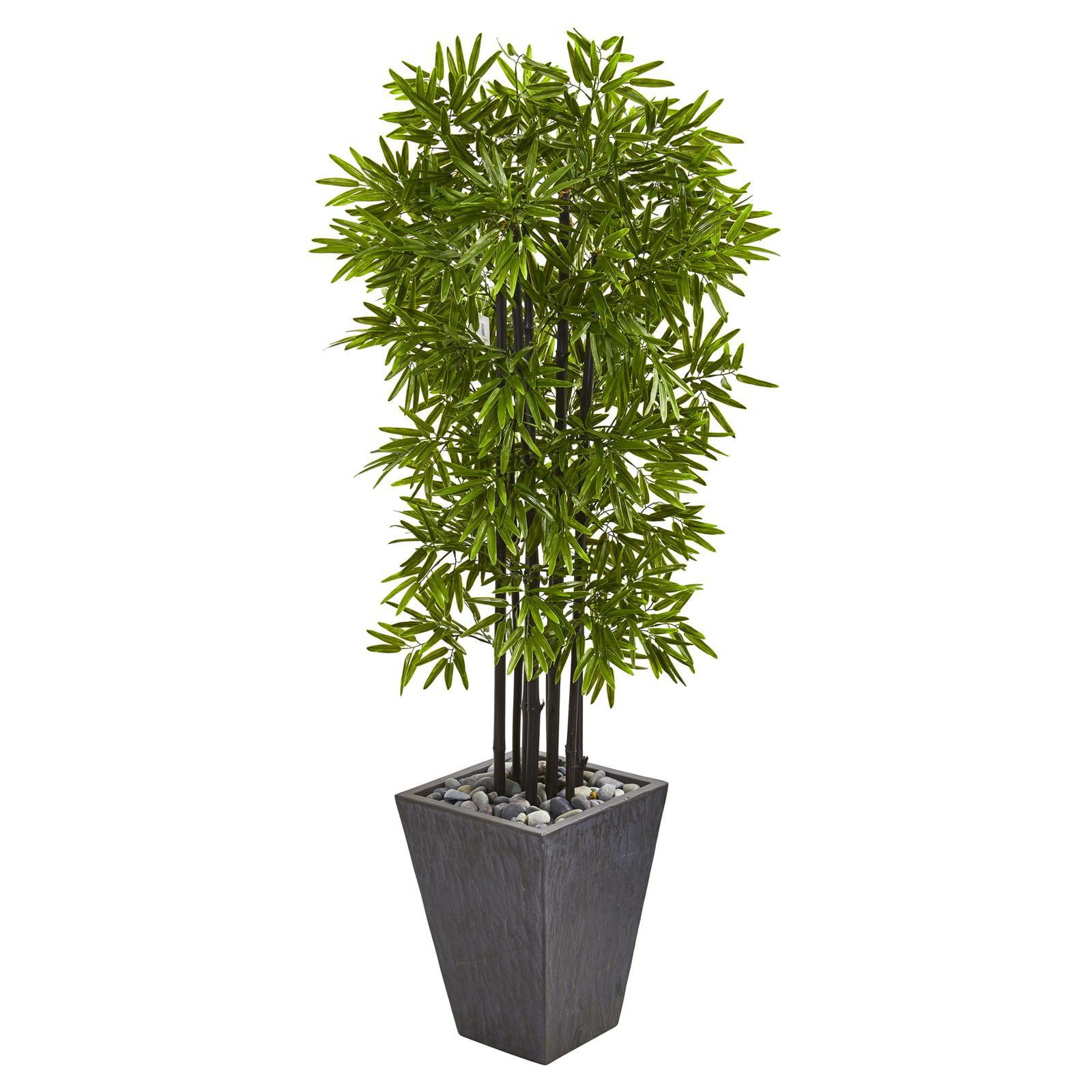 61'' Bright Green Bamboo Artificial Tree with Black Trunks in Slate Planter