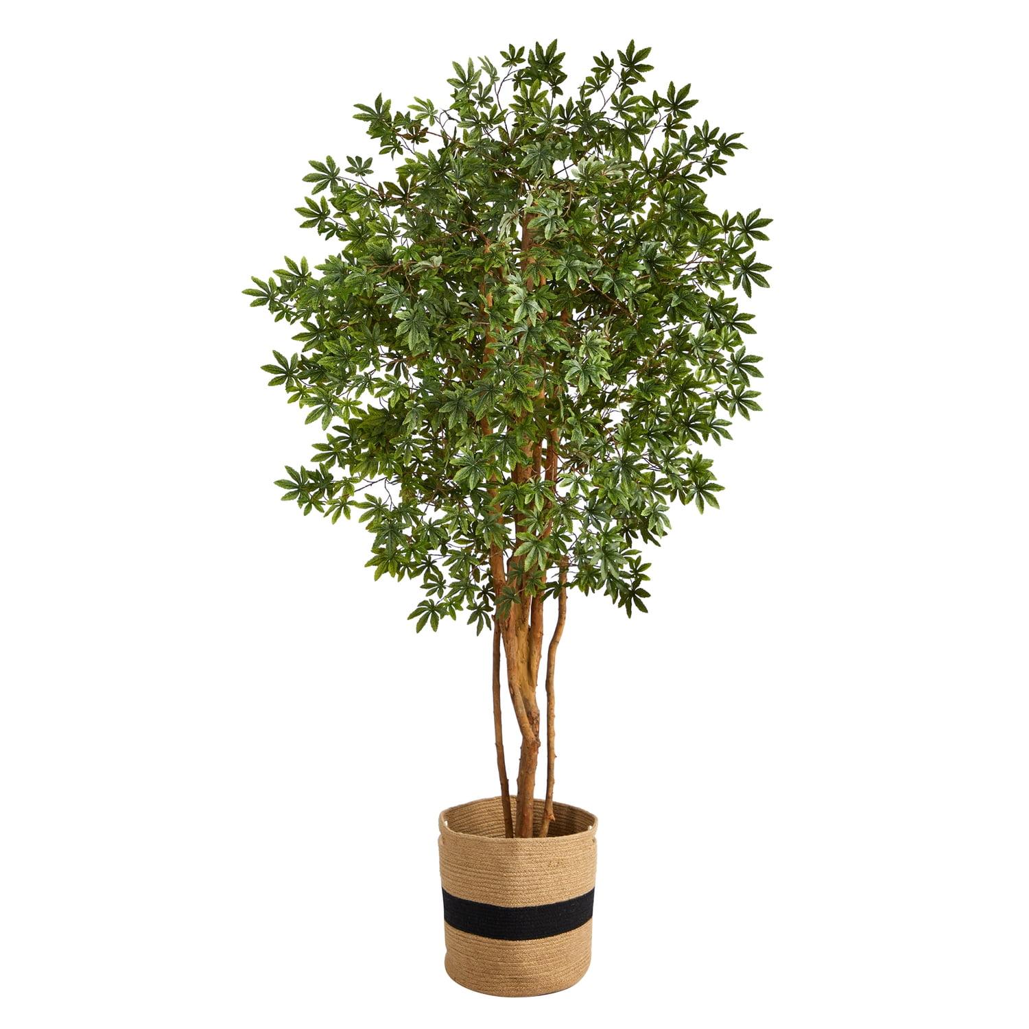 Nearly Natural 6-ft Japanese Maple Artificial Tree in Handmade Natural Cotton Planter