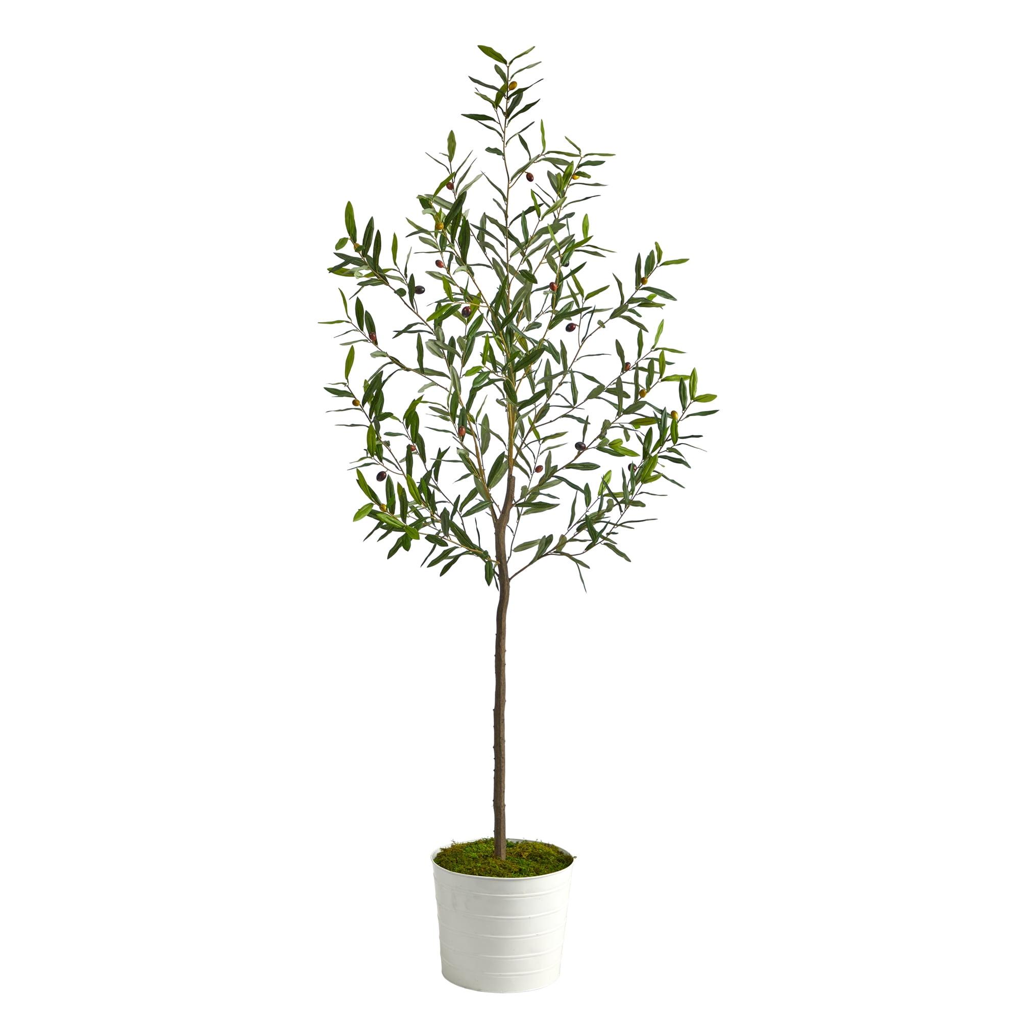 Mediterranean Dream 70" Faux Olive Tree in White Tin Planter