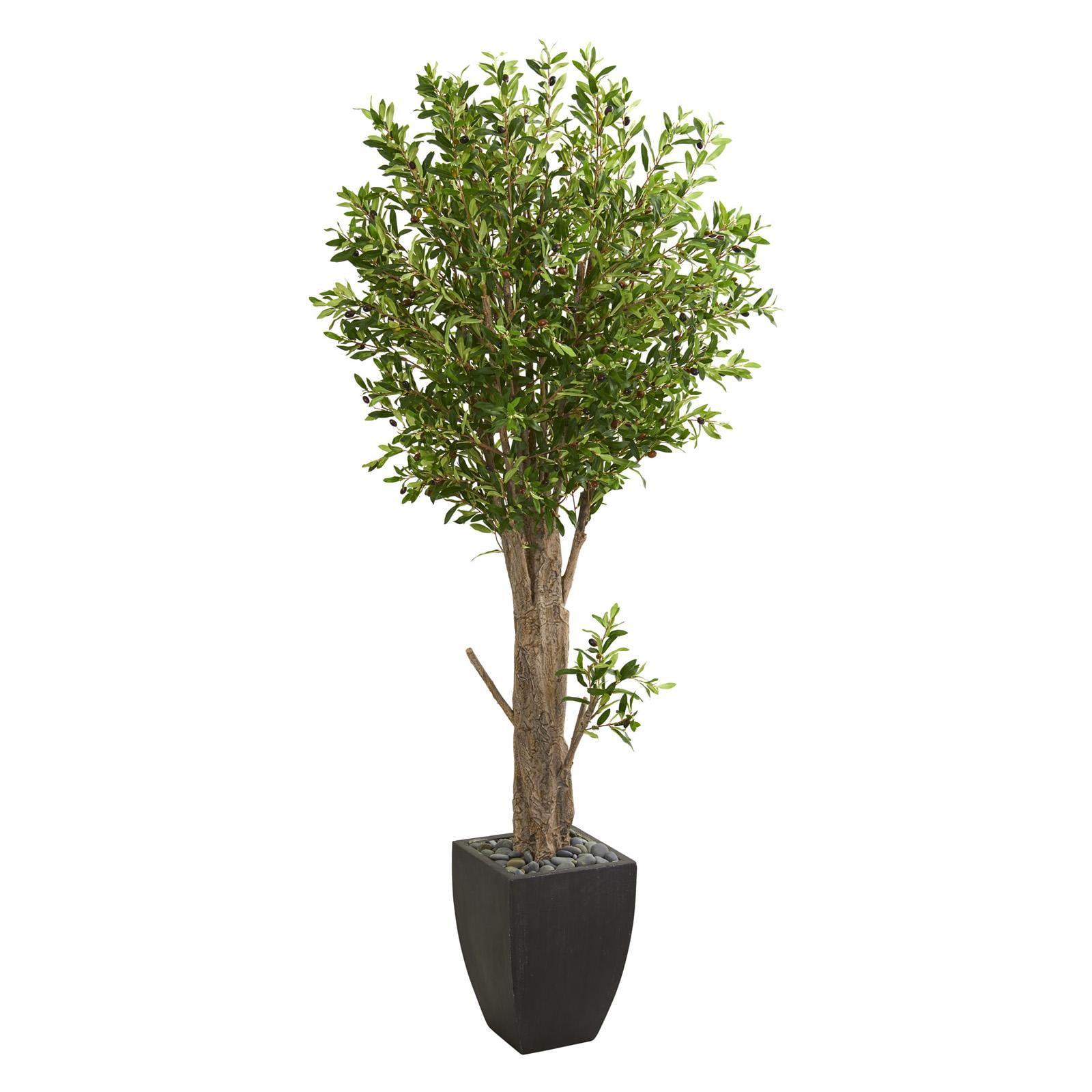 Lifelike Olive Silk Tree in Square Black Planter - 74 in