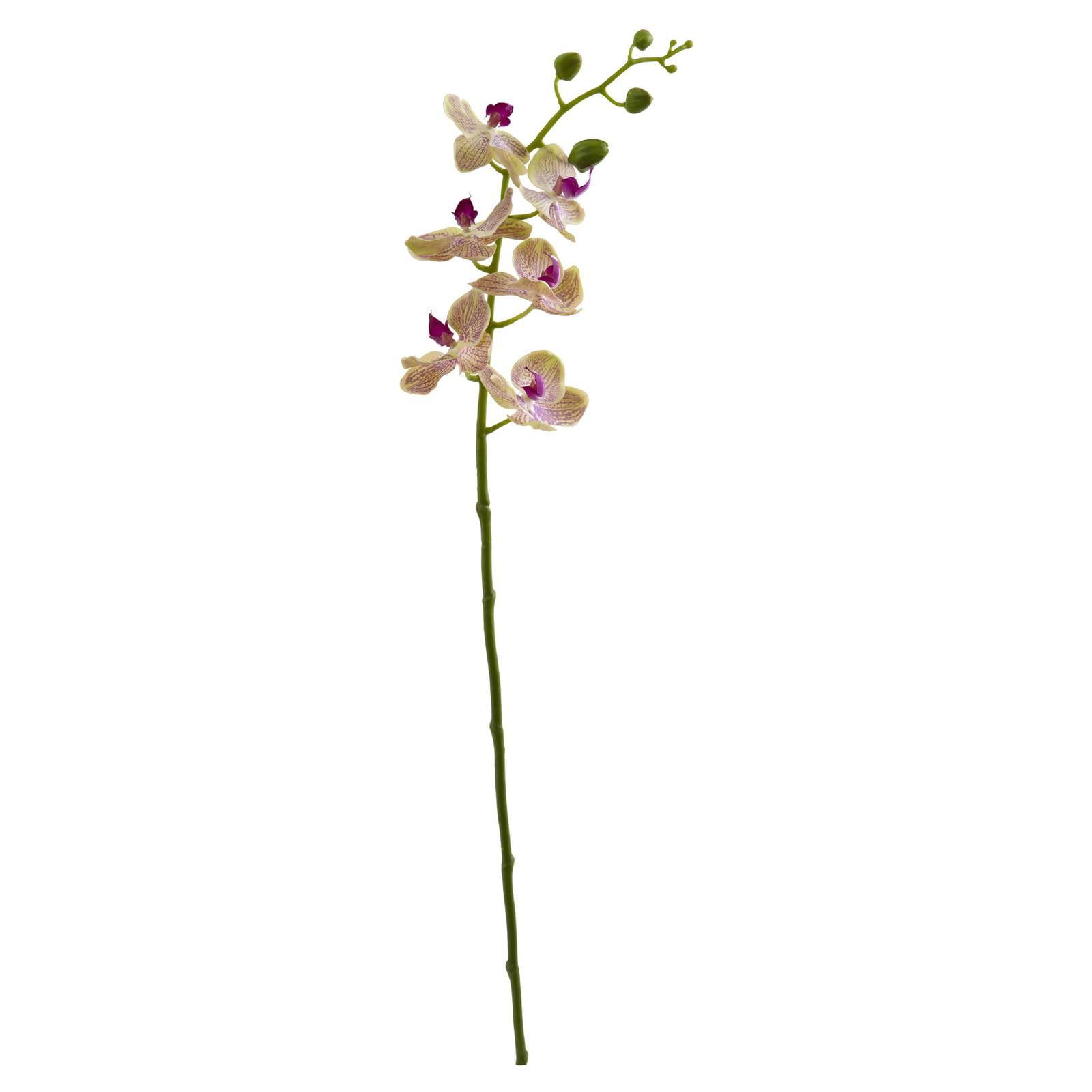 Raspberry Silk Phalaenopsis Orchid Artificial Flower Set