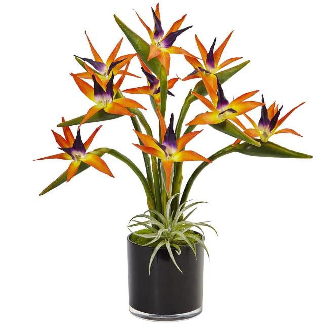 30" Black Glossy Cylinder Potted Silk Bird of Paradise Arrangement