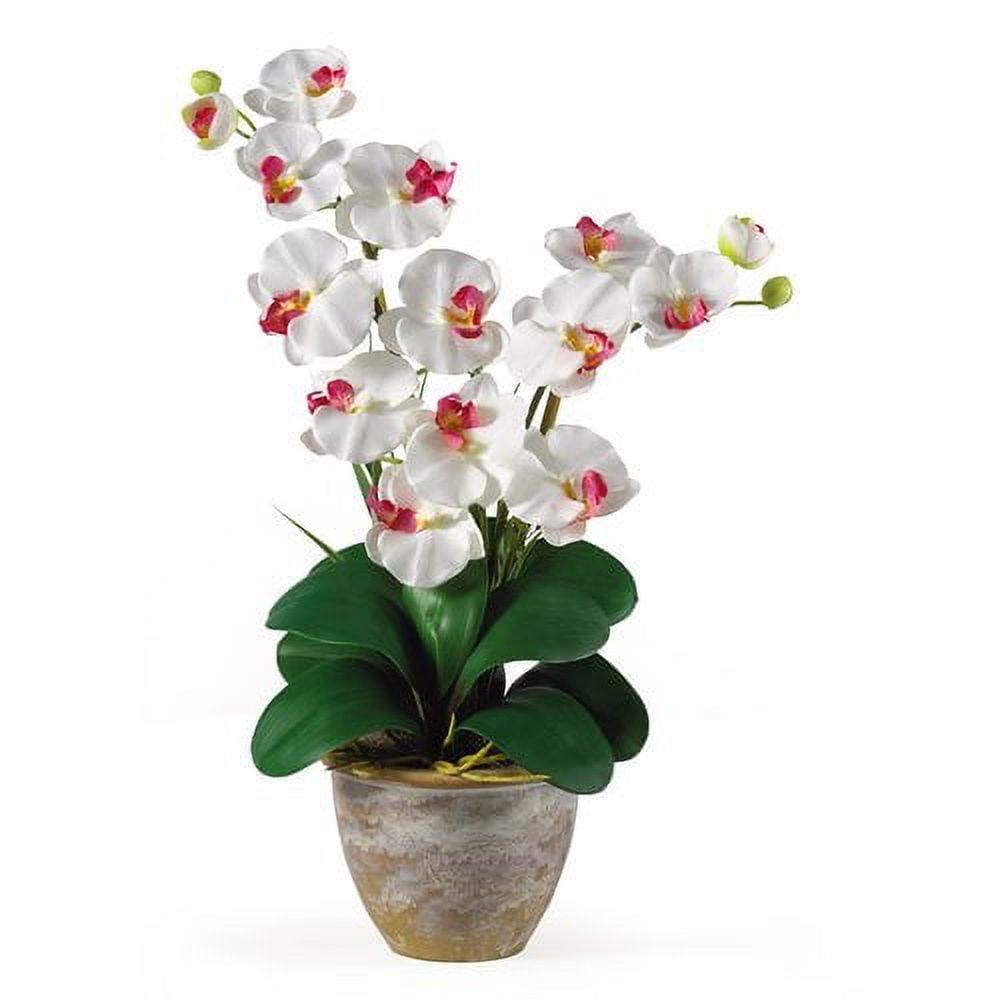 Orchid Bliss White Double Stem Phalaenopsis Silk Tabletop Arrangement