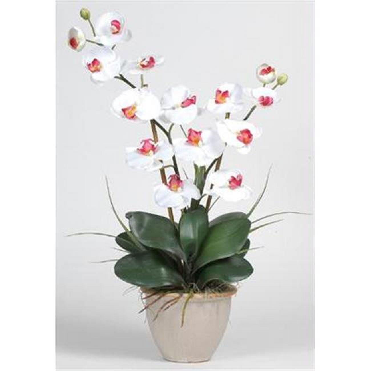 Orchid Bliss White Double Stem Phalaenopsis Silk Tabletop Arrangement